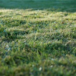 Parcela de terreno de 1.793m2 sita en Berganzos - RP de Lalín - FR 39324