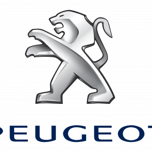 100% de vehículo Peugeot 2060 - TE08521