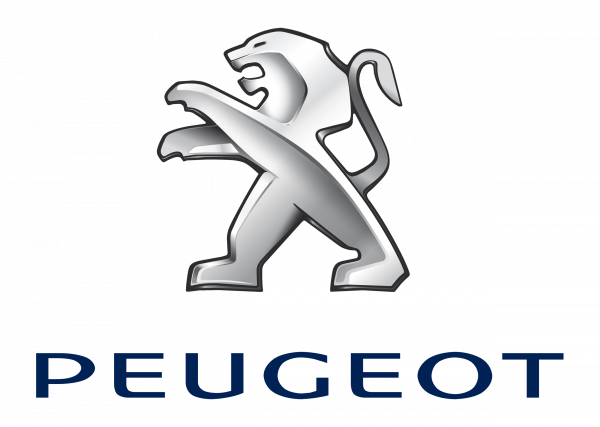 100% de vehículo Peugeot 2060 - TE08521